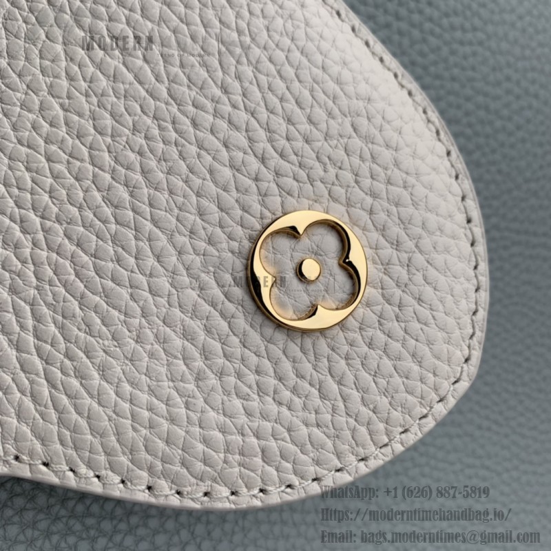 Louis Vuitton Capucines MM Handbag M21296 Small in Grey Leather