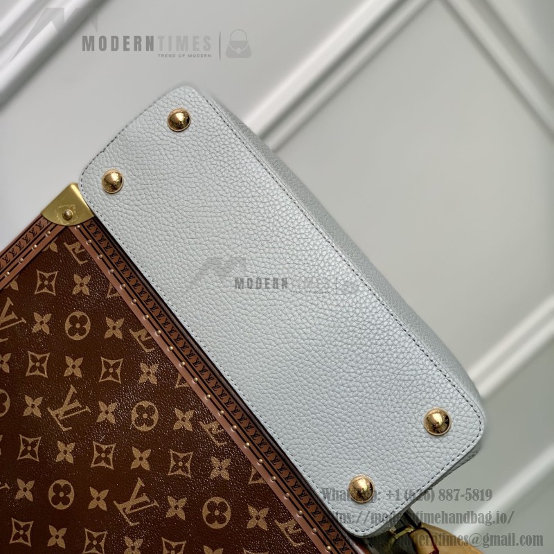 Louis Vuitton Capucines MM Handbag M21296 Medium in Grey Leather