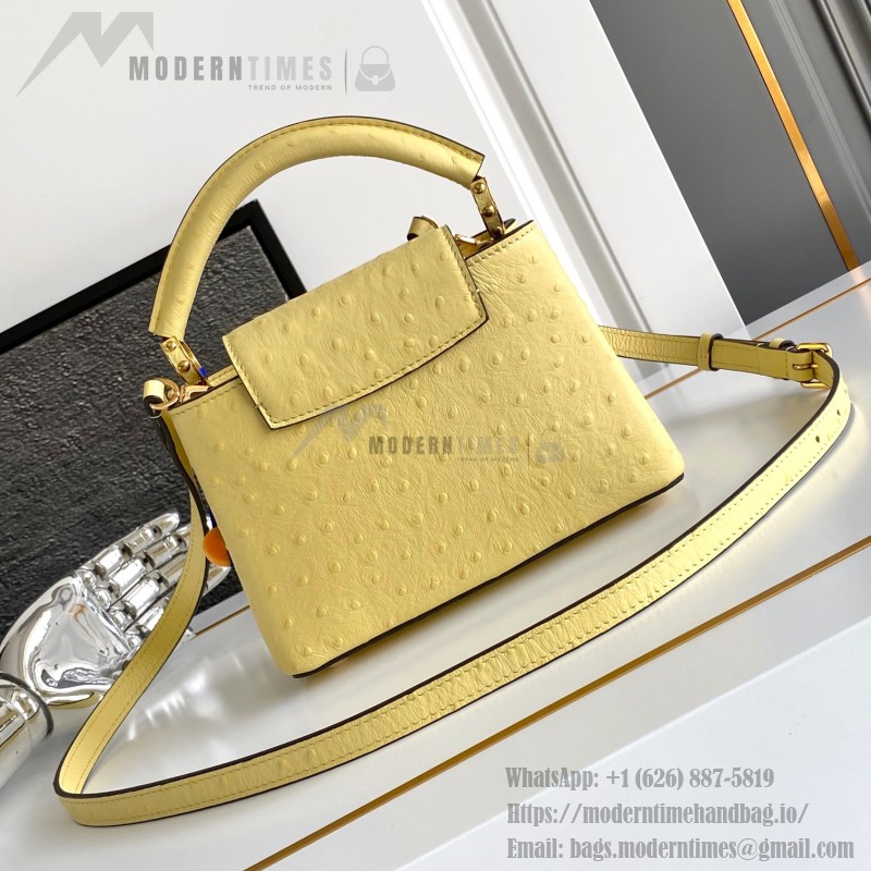 Louis Vuitton Capucines BB Yellow Custom Taurillon Leather Handbag M24713 M24714