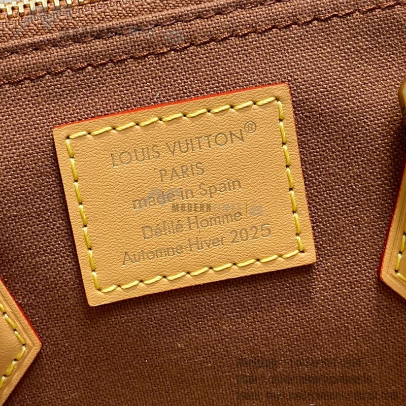 Louis Vuitton Speedy 25 Brown Pillow Bag M15218 Pharrell x Nigo