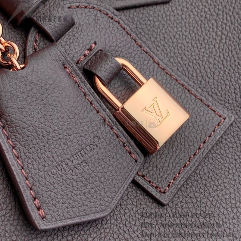 Louis Vuitton Capucines Souple MM Chocolate Brown Handbag