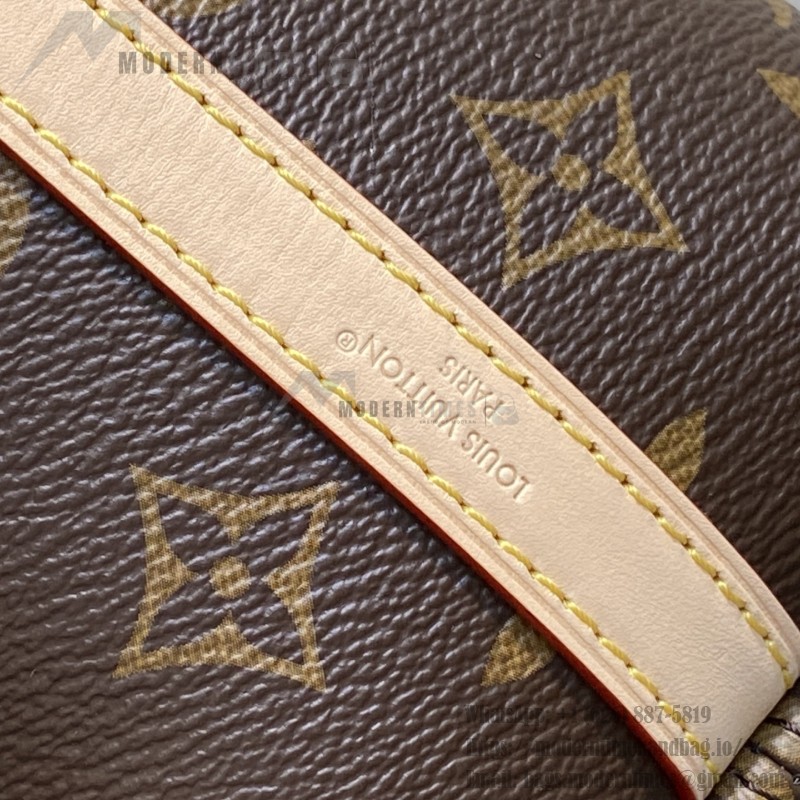 Louis Vuitton Multipass Monogram Canvas Chain Bag