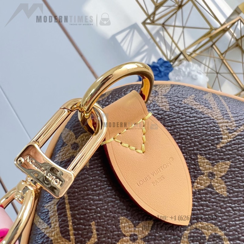Louis Vuitton Speedy Soft 30 Crafty Monogram handbag front view