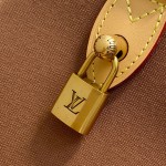 Louis Vuitton Speedy 25 Brown Pillow Bag M15218 Pharrell x Nigo