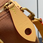 Louis Vuitton Speedy 25 Brown Pillow Bag M15218 Pharrell x Nigo