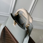 Louis Vuitton Capucines MM Handbag M21296 Small in Grey Leather