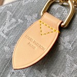 Louis Vuitton Speedy Soft 30 Handbag M13344 Canvas Replica