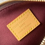 Louis Vuitton All In MM M29628 Monogram premium fabric handbag with metal hardware