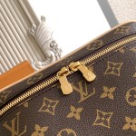 Louis Vuitton M42265 Vanity Bag – Italian A-Grade Leather with A-Grade Steel Hardware