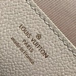 Louis Vuitton Wallet On Chain Métis M82637 Black / M82836 Ivory White Handbag