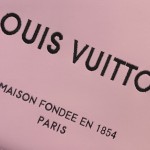 Louis Vuitton Mini Shopper Tote Bag M15239 Pink