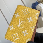 Louis Vuitton M26059 coated canvas passport cover multi color