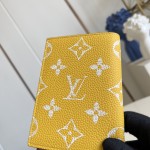 Louis Vuitton M26059 coated canvas passport cover multi color