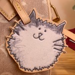 Louis Vuitton Speedy 20 Bandoulière Handbag with Cat Charm in Meowgram Canvas