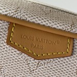 Louis Vuitton Boarding Messenger Bag M27155 in Waxed Cowhide Leather with Adjustable Shoulder Strap