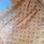 Louis Vuitton Express Small Handbag with Monogram Edging and Key Pouch