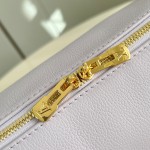 Louis Vuitton Express Small Handbag with Monogram Edging and Key Pouch