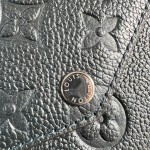 Louis Vuitton Pochette Félicie Chain Bag with snap button closure and detachable pockets
