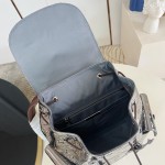 Louis Vuitton Christopher Medium Backpack with Monogram Miroir Coated Canvas