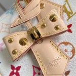 Louis Vuitton Speedy Soft 30 Bag with Rainbow Monogram