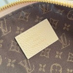 Louis Vuitton Multipass Handbag with Monogram canvas and woven chain strap