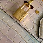 Louis Vuitton Special Edition M95846 Handbag – Small