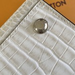 Louis Vuitton Special Edition M84672 Handbag in Sand – Medium & Small