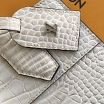 Louis Vuitton Special Edition M84672 Handbag in Sand – Medium & Small