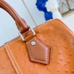 Louis Vuitton Speedy P9 Bandoulière 25 Monogram leather handbag N89119 with polished metal hardware and lambskin lining