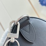 Louis Vuitton Needle M28000 Monogram canvas handbag with leather side bands and top handle
