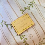 Louis Vuitton Speedy Bandoulière 20 M29459 LV Stamp canvas handbag with striped mini Monogram design