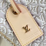 Louis Vuitton Speedy Soft 30 M28479 Monogram Emblème jacquard canvas handbag with braided handles