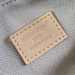 Louis Vuitton Pochette Hills M29879 Monogram Emblème jacquard handbag with cowhide leather trim