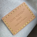 Louis Vuitton Rush M27640 Monogram floral denim belt bag with embroidered details and adjustable strap