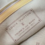 Louis Vuitton Diane M29795 Monogram Emblème jacquard replica shoulder bag with leather trim and adjustable strap