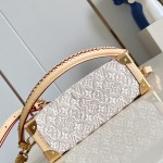  Louis Vuitton Side Trunk MM M2A145 Monogram Emblème jacquard canvas handbag with VVN trim and braided handle